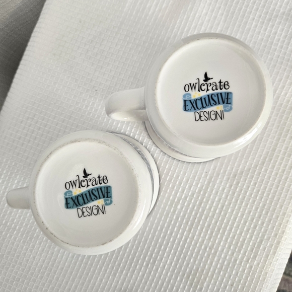 Harry Potter Coffee Cups Mugs Castle Wizard Dragon Owlcrate Exclusive - Picture 6 of 8